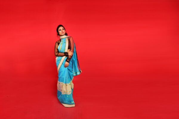 Advantages And Disadvantages Of Wearing A Saree