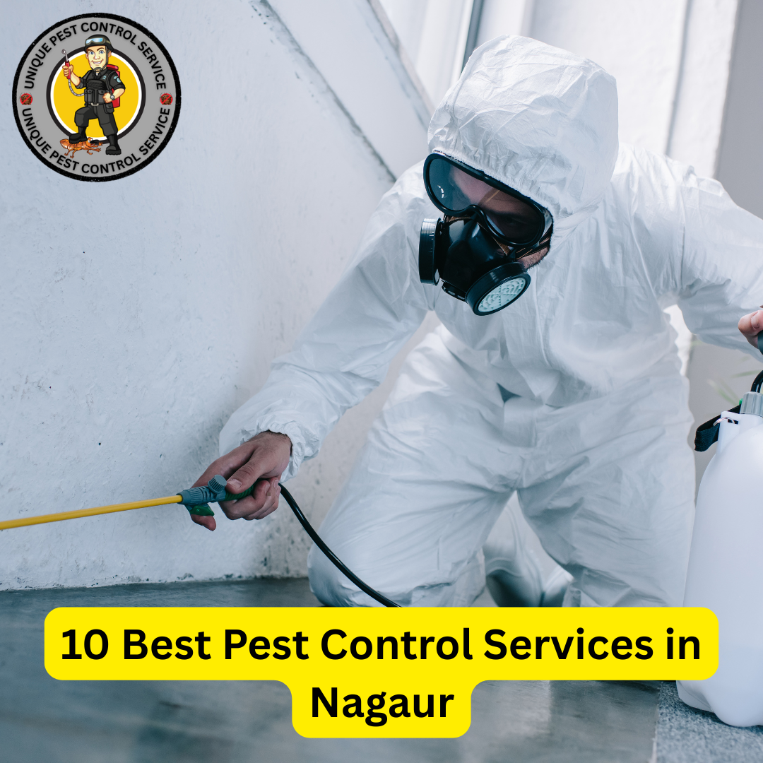 Best Pest Control Services in Nagaur