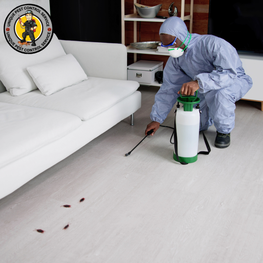 Pest Control in Nagore